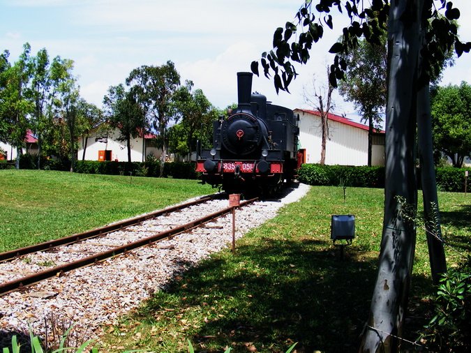 (13) Locomotiva a carbone